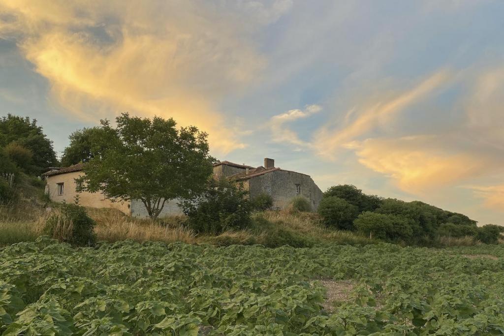 La Chaumiere Villa Salles-Lavalette Exterior photo